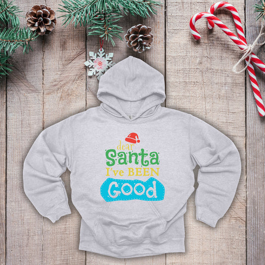 Christmas Hoodie - Dear Santa I've Been Good - Cute Christmas Shirts - Youth and Adult Christmas Hooded Sweatshirt Hooded Sweatshirt Graphic Avenue Light Gray Adult Small 